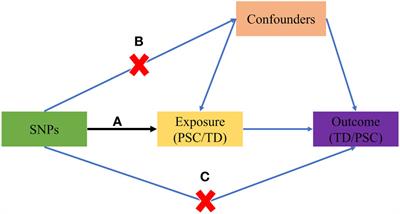 Genetic link between primary sclerosing cholangitis and thyroid dysfunction: a bidirectional two-sample Mendelian randomization study